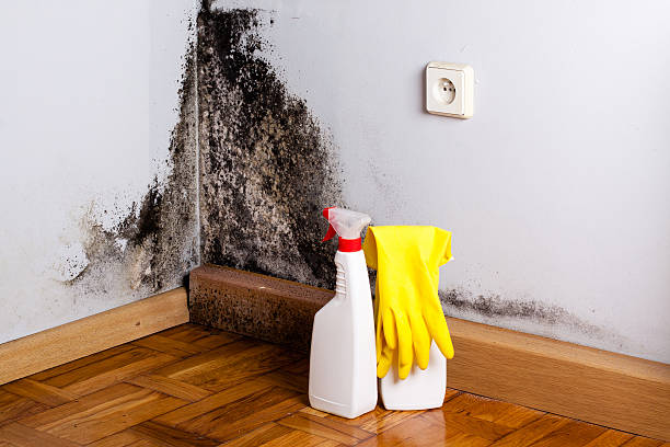 Water Damage Restoration in Wyoming, PA